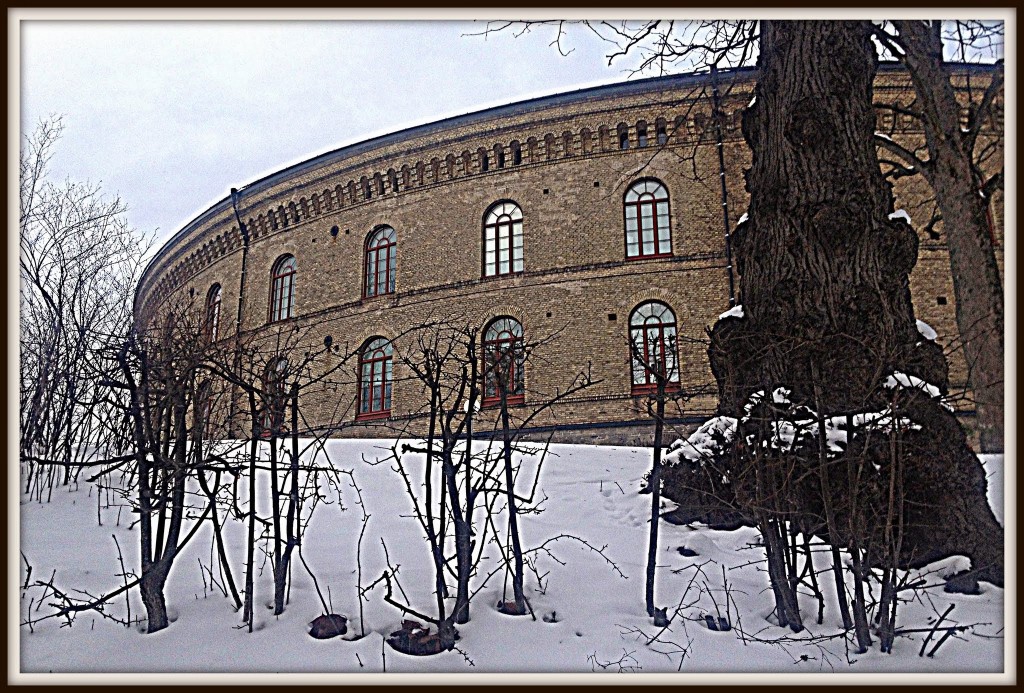 universitet