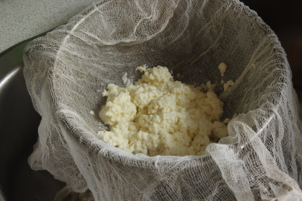 Paneer i ostelæred i en si.