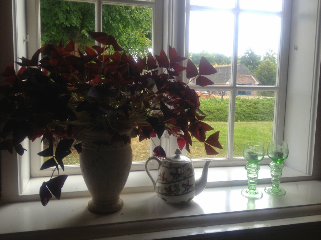 De der røde nogen (jeg ved ikke et klap om blomster)