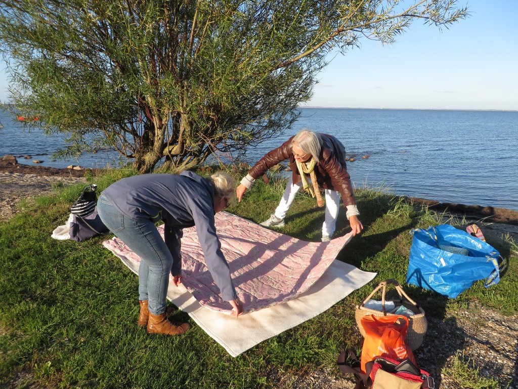 Der gøres klar til picnic ved fjorden i Struer.